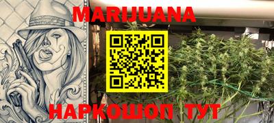 ешки Кингисепп