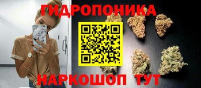ешки Кингисепп