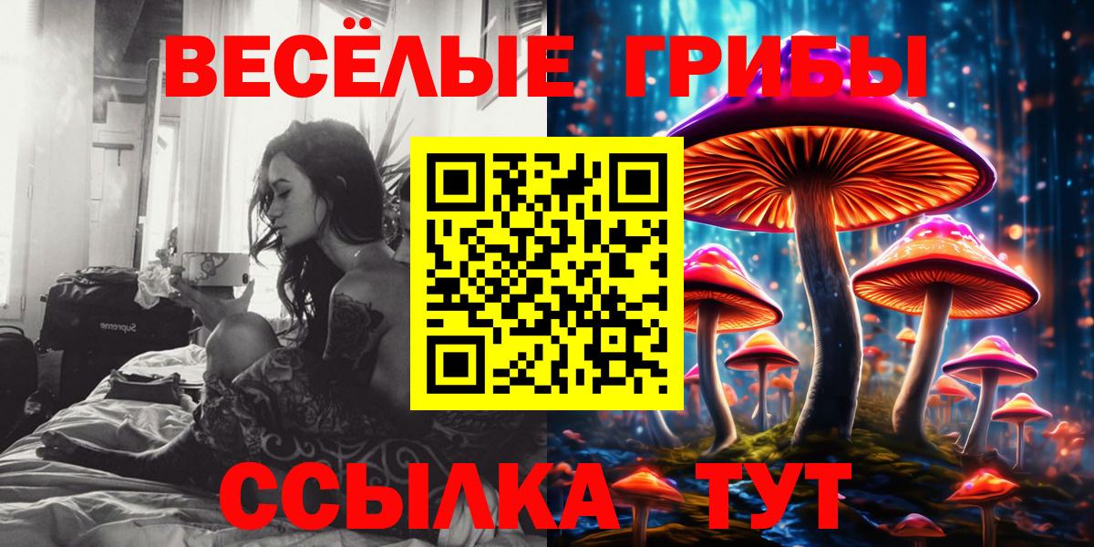 Галлюциногенные грибы Magic Shrooms  Вход с VPN  Морозовск  Псилоцибиновые грибы ЛСД 